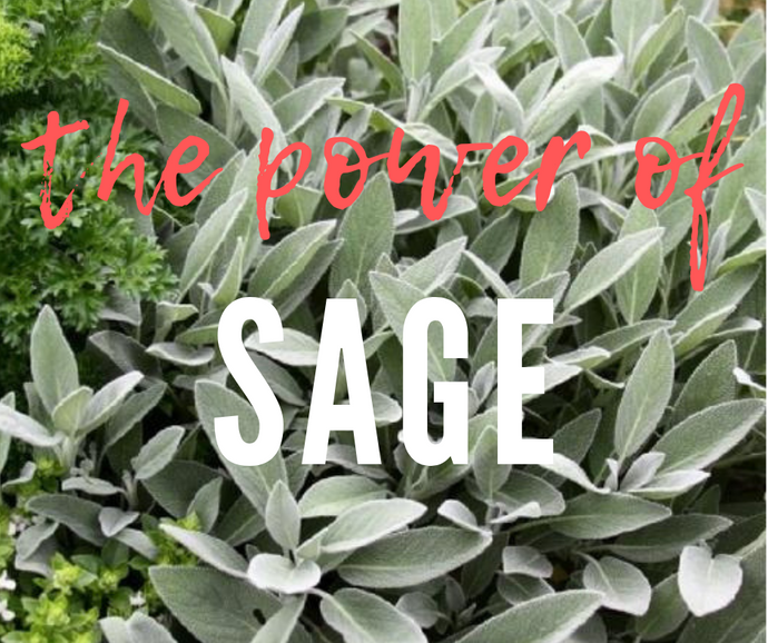 The Kitchen Salon™ : Sage- Great for your food and your hair!