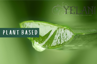 Thumbnail for Leave in Conditioner - Hydrates Natural Hair, Braids and Locs - Plant Based Hair Care for Natural Hair