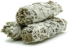 Load image into Gallery viewer, White Sage Smudge Stick - 9&quot;